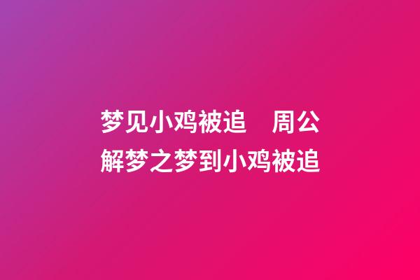 梦见小鸡被追　周公解梦之梦到小鸡被追